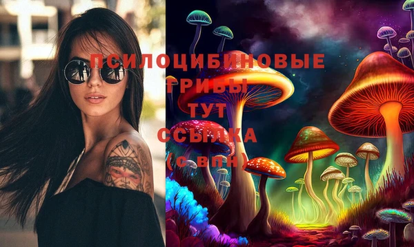 индика Алексеевка