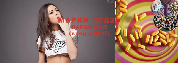 индика Алексеевка