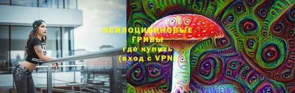 гашик Алзамай