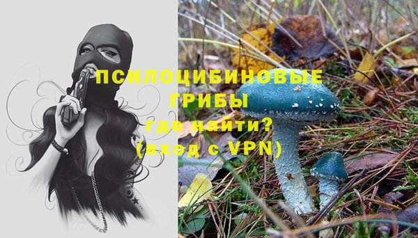индика Алексеевка