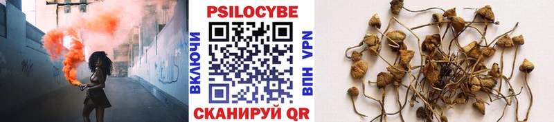 купить  цена  Александров  Псилоцибиновые грибы прущие грибы 
